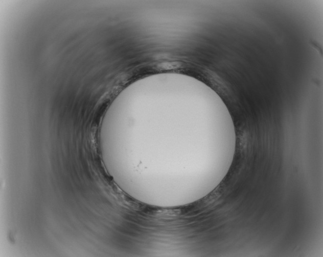 X0000099540373200805160755