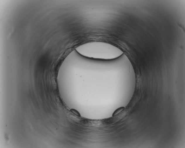 X0000099540377200805160755