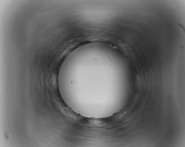 X0000099540380200805160755