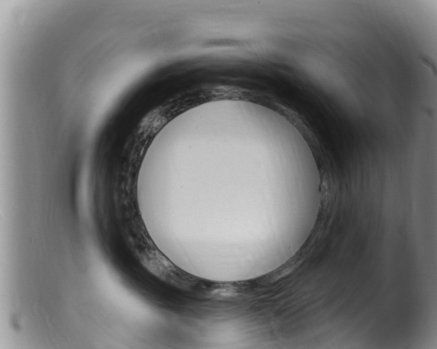 X0000099540381200805160755