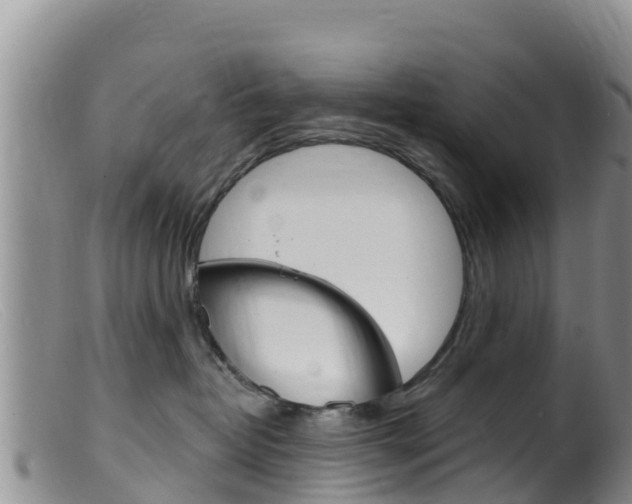 X0000099540382200805160755