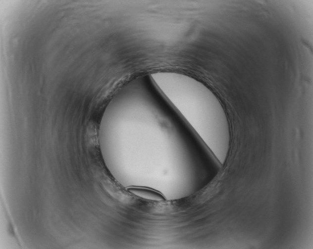 X0000099540384200805160755