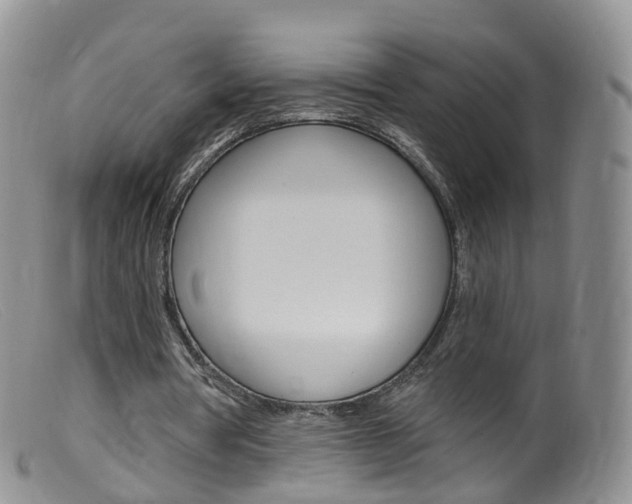 X0000099540386200805160754