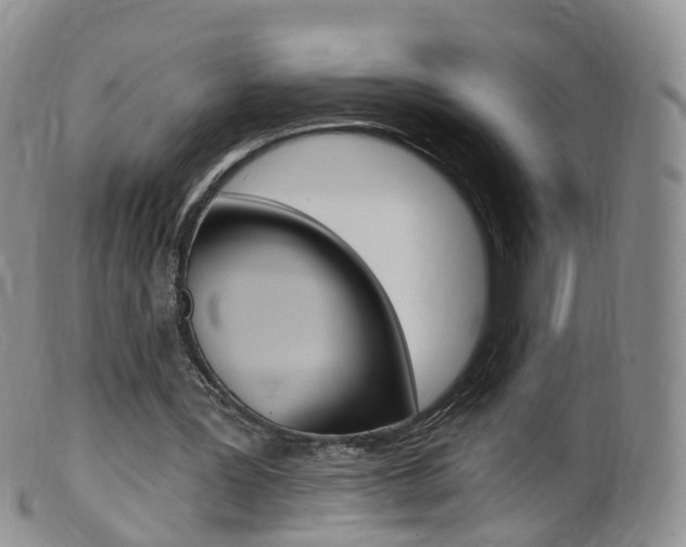 X0000099540387200805160754