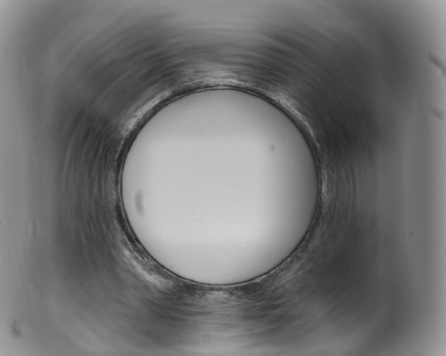 X0000099540390200805160754