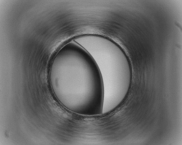 X0000099540391200805160754