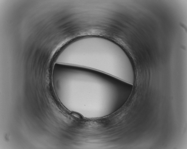 X0000099540392200805160754