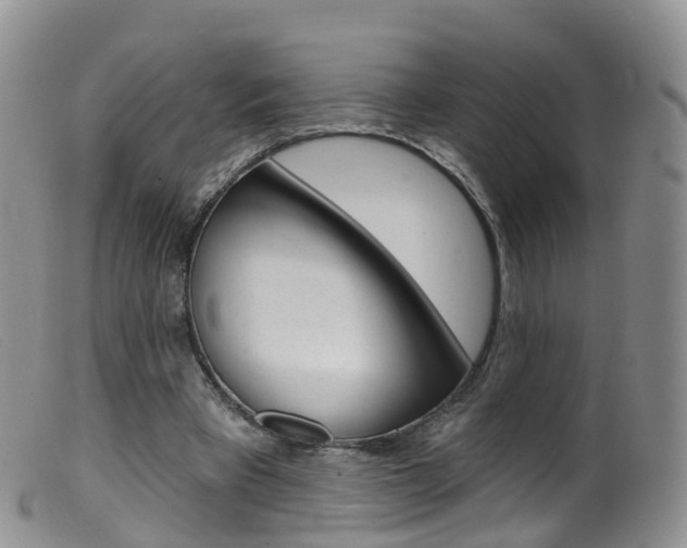 X0000099540393200805160754