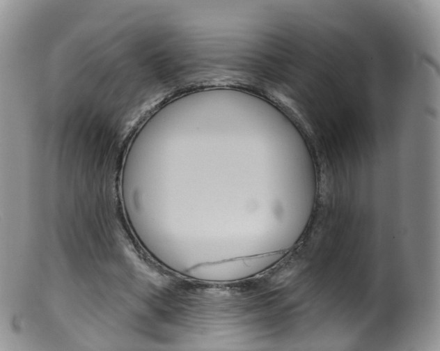X0000099540394200805160754