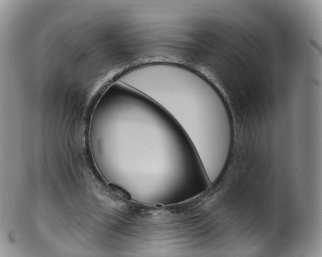 X0000099540395200805160754