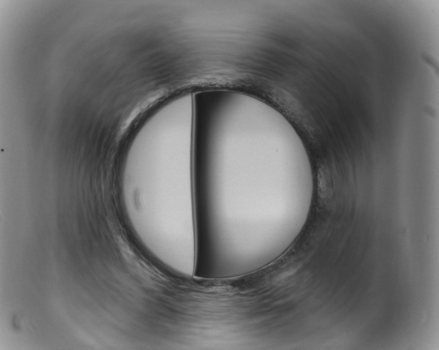 X0000099540396200805160754