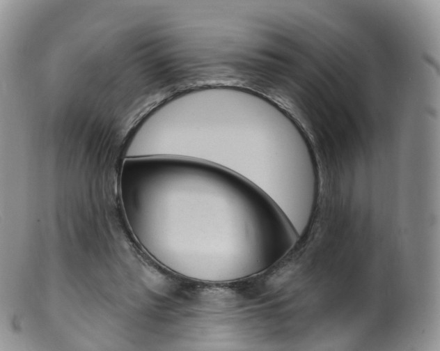 X0000099540397200805160754