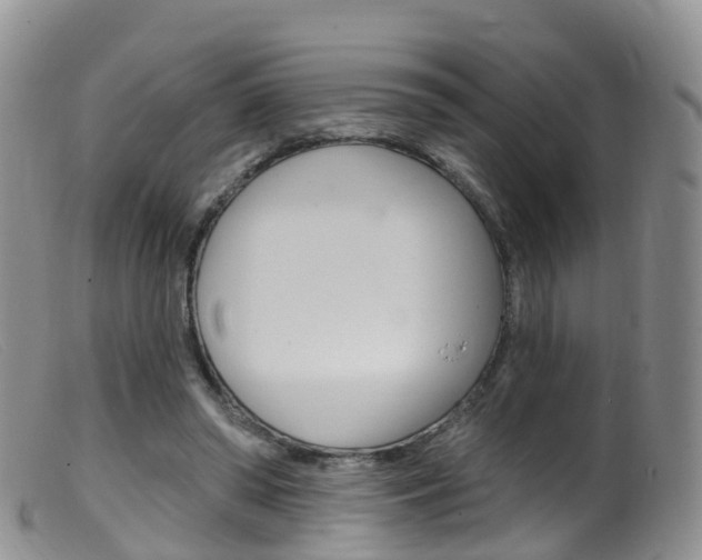 X0000099540398200805160754