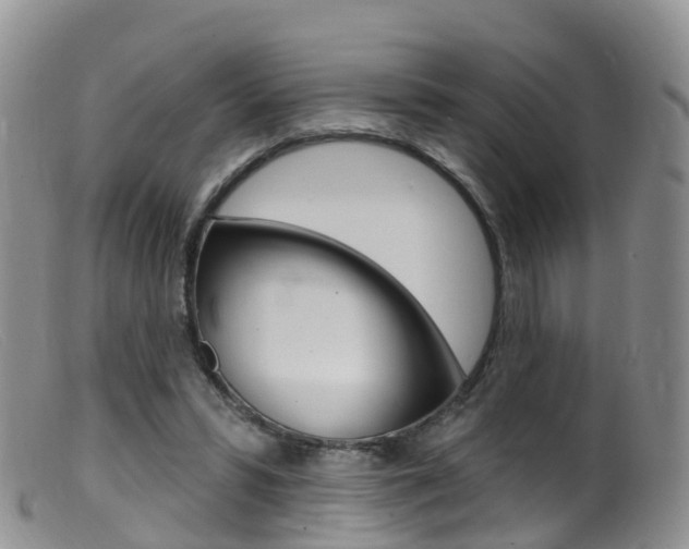 X0000099540399200805160754