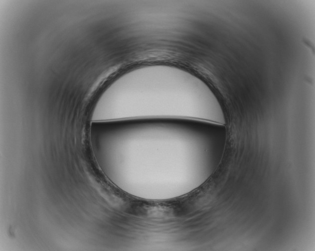 X0000099540400200805160754