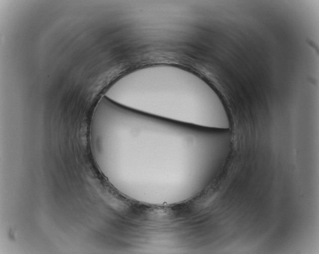 X0000099540402200805160754