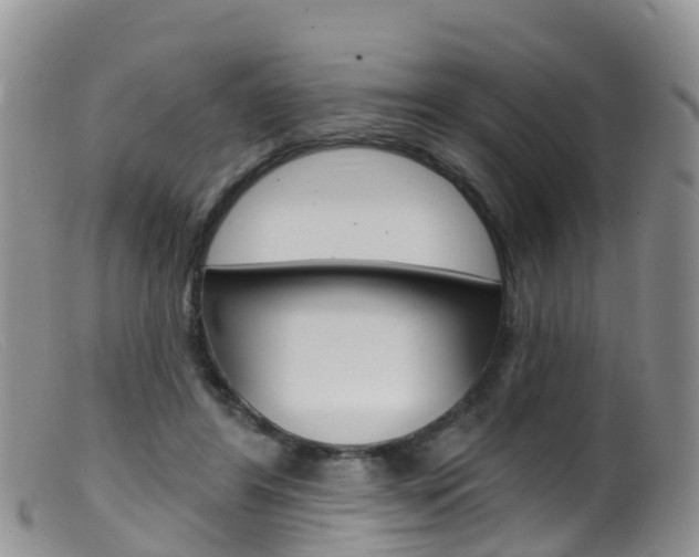 X0000099540404200805160754