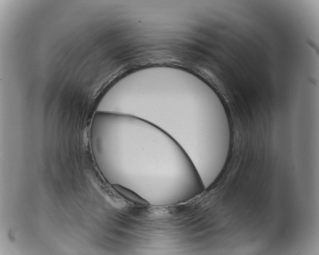 X0000099540405200805160754