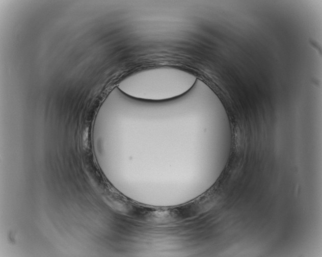 X0000099540406200805160754