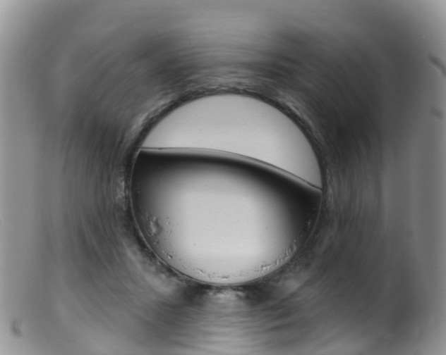 X0000099540407200805160754
