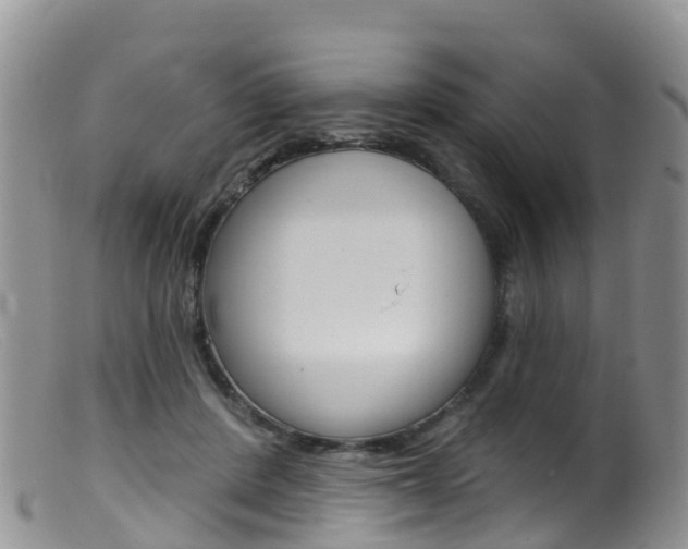 X0000099540408200805160754