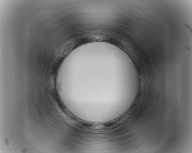 X0000099540410200805160753