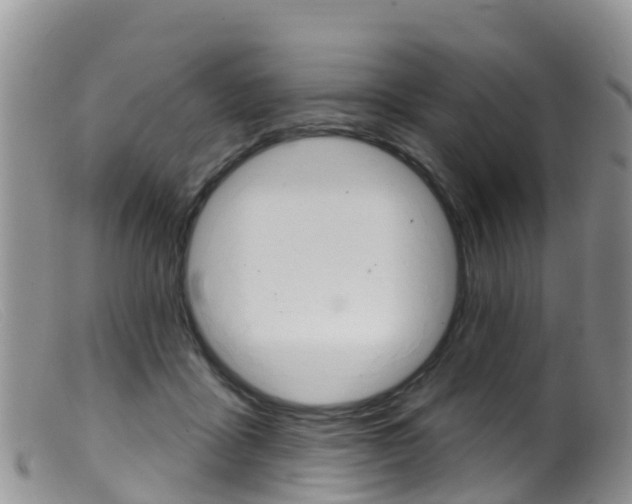 X0000099540411200805160753