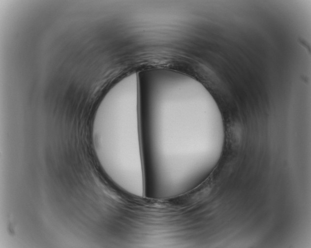 X0000099540412200805160753
