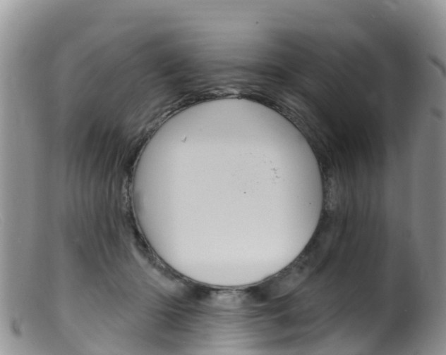 X0000099540414200805160753