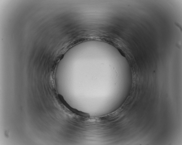 X0000099540415200805160753