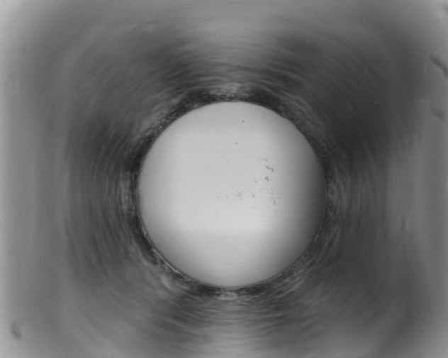 X0000099540416200805160753