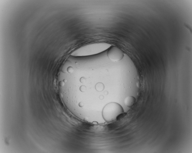 X0000099540418200805160753