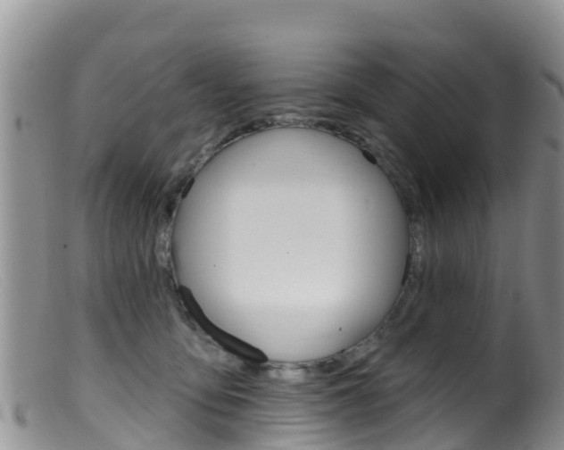 X0000099540419200805160753