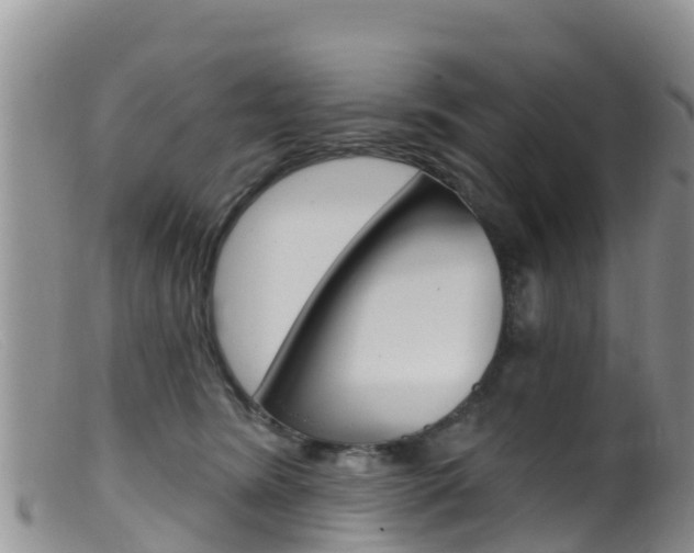 X0000099540420200805160753