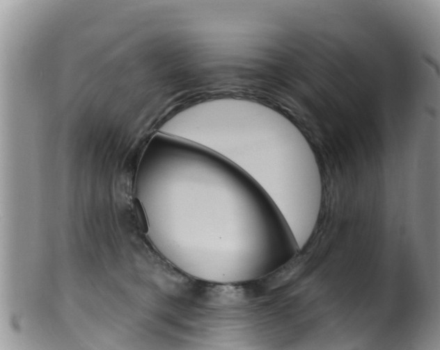 X0000099540421200805160753