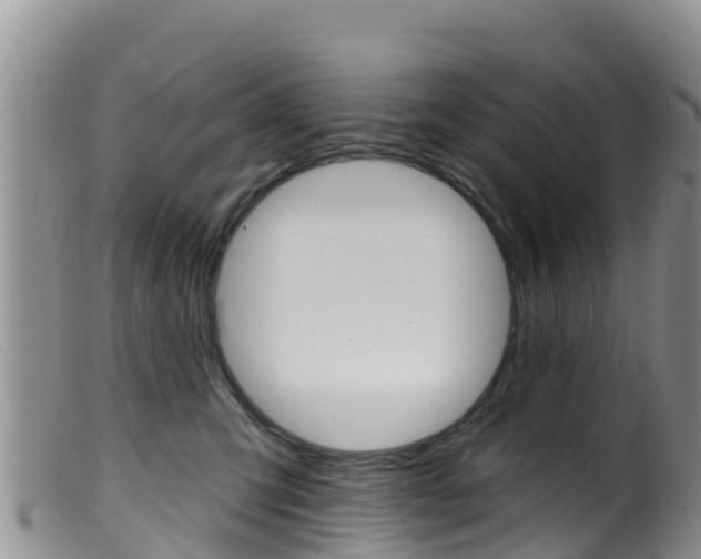 X0000099540423200805160753