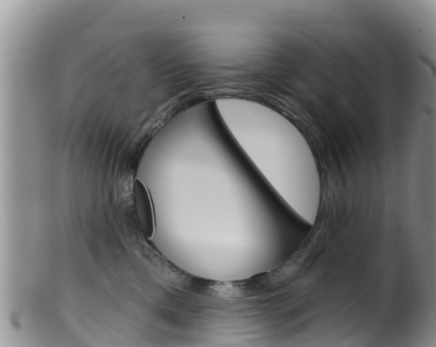 X0000099540425200805160753