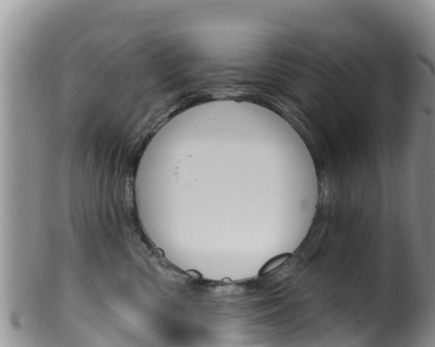 X0000099540426200805160753