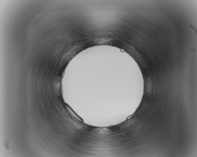 X0000099540427200805160753