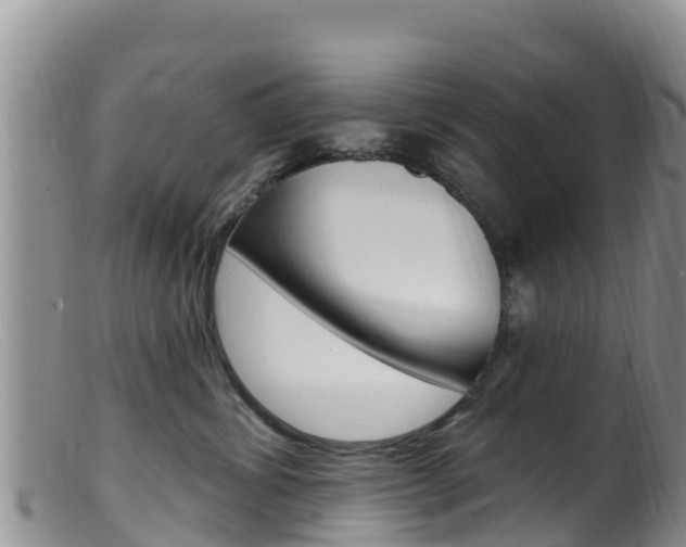 X0000099540428200805160753