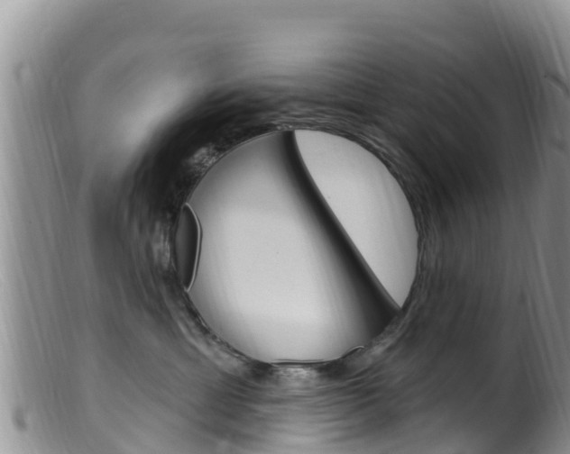 X0000099540429200805160753