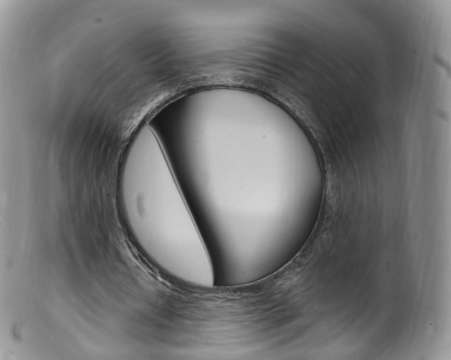 X0000099540434200805160752