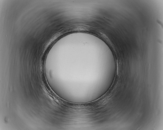X0000099540435200805160752