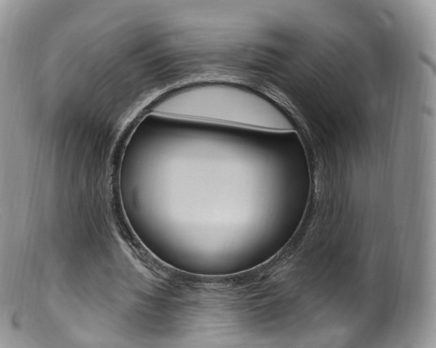 X0000099540436200805160752