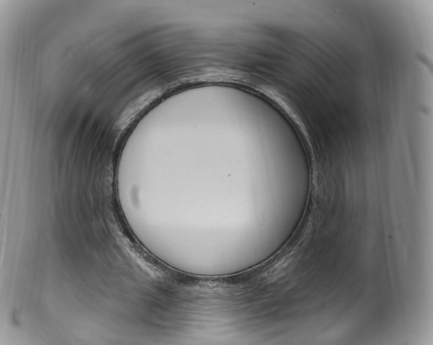 X0000099540437200805160752