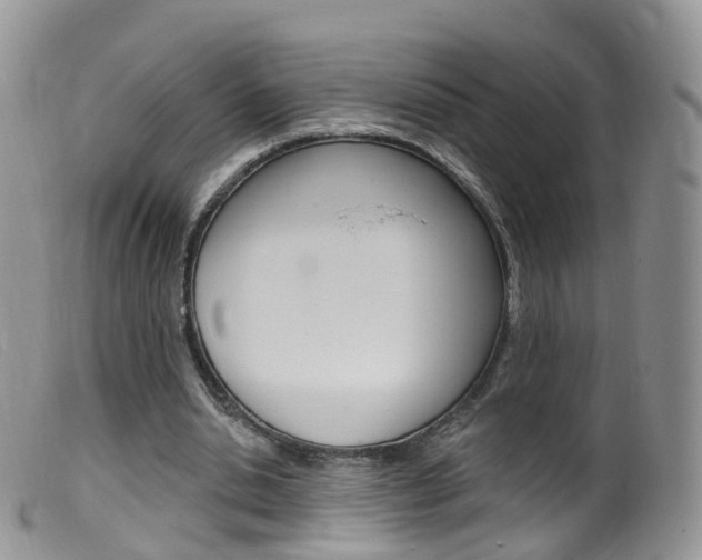 X0000099540438200805160752