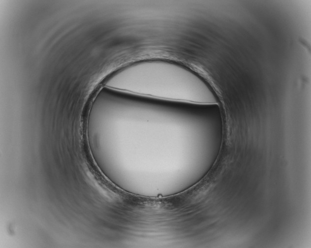 X0000099540439200805160752