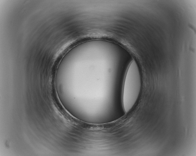 X0000099540440200805160752