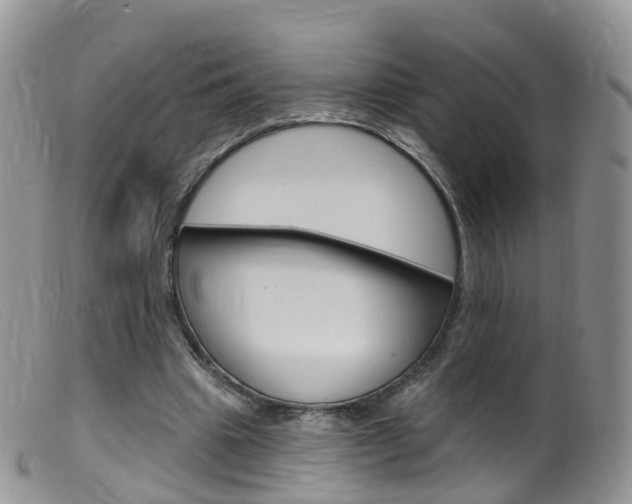 X0000099540441200805160752