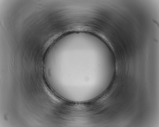 X0000099540445200805160752